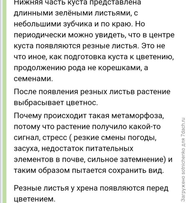 Информация на сайте bolshyvopros. ru