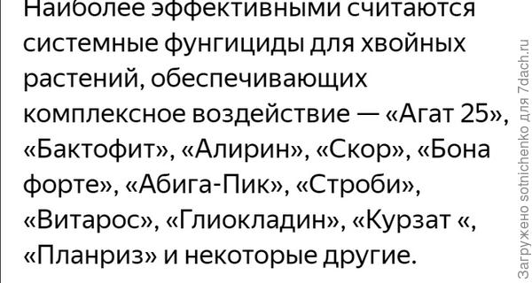 Информация из интернета.