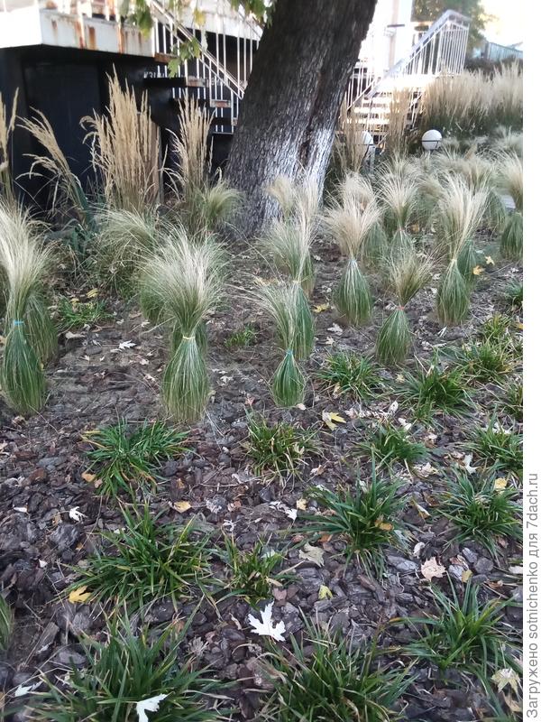 Конец октября ,фото прислали из Люблена (Польша)