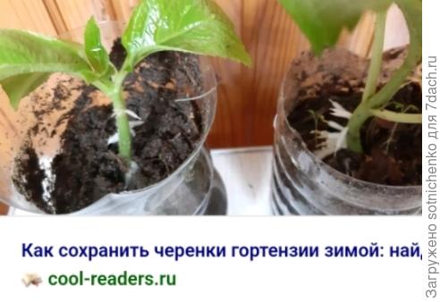 Фото из интернета.