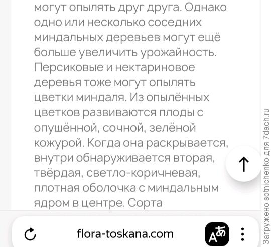 Информация на сайте flira-toskana. com