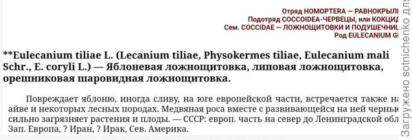 Информация на сайте cnshb. ru