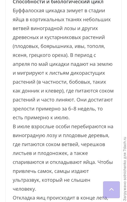 Информация на сайте antrocene. it