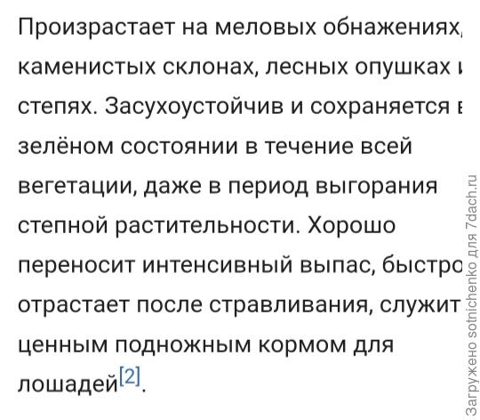 Информация о Подмареннике распростертом на сайте Википедия.