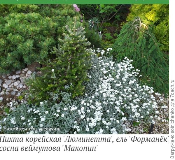 Фото на сайте 7дач.