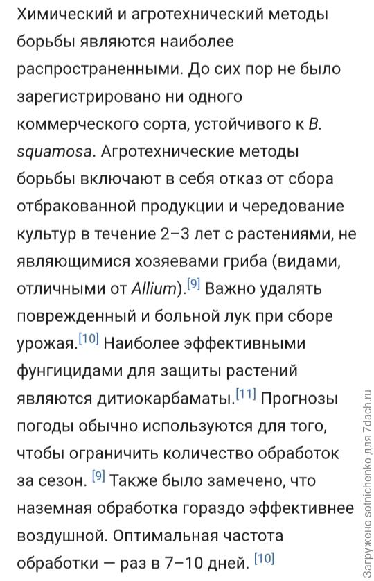 Информация из интернета.