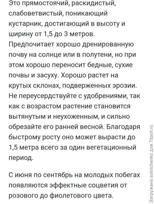 Информация из интернета.