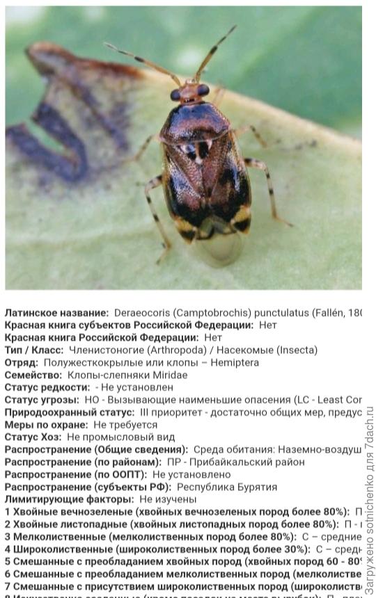 Фото и информация на сайте nature-mordovia. ru