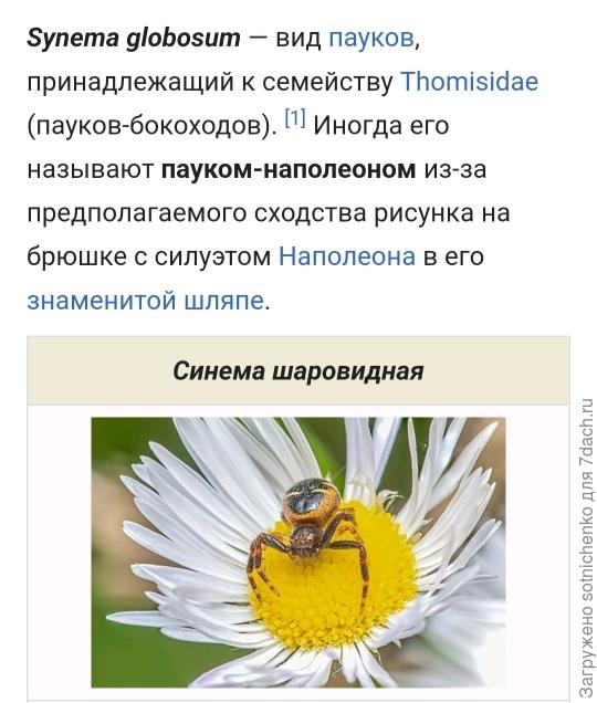 Фото на сайте Википедия.