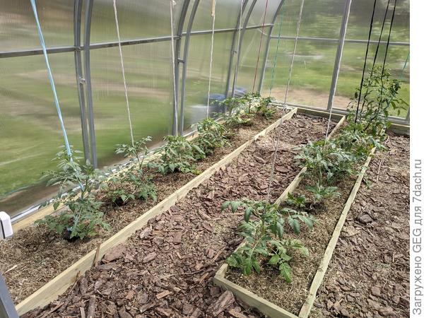 Нет не одной фотки старше 27-го мая. Полное безобразие!!!