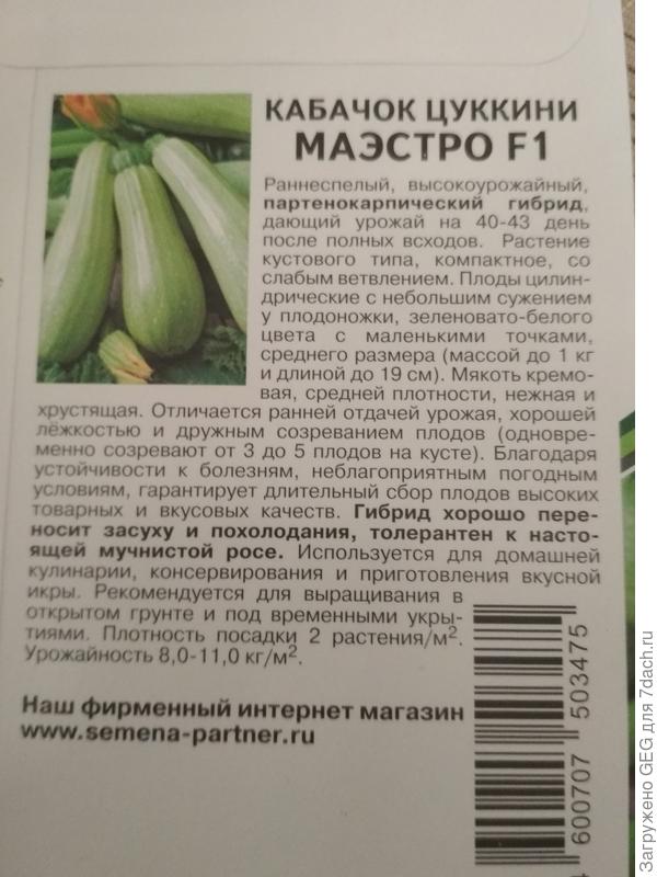 Описание Маэстро