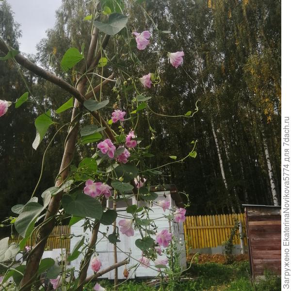 14 сентября
