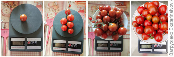 томат Арапчонок