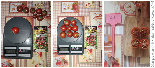 томат Арапчонок