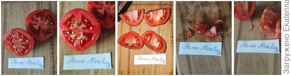 томат Мон Амур