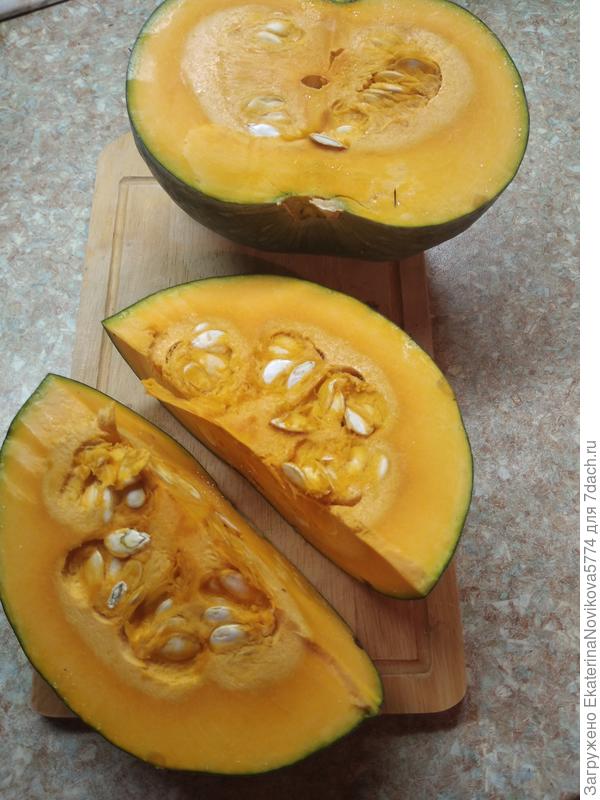 тыква Ворожея