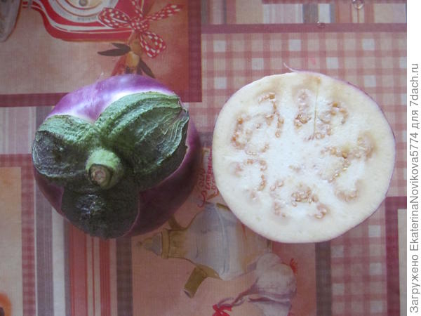 Баклажан Блекки