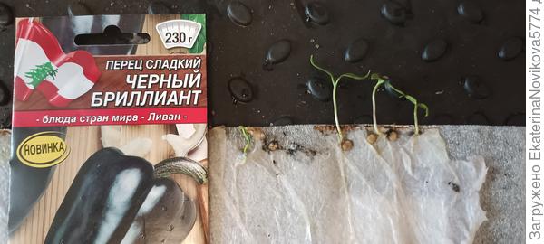 Черный бриллиант