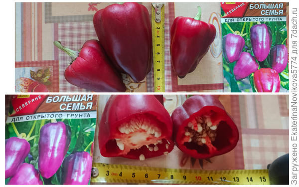 Сладкий перец Большая семья