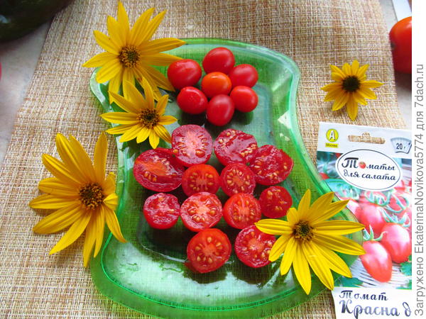 томат Красна девица