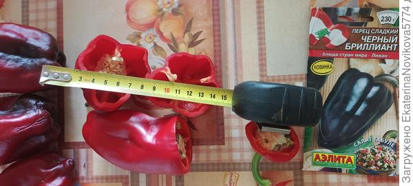 сладкий перец Черный бриллиант