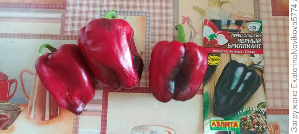 перец