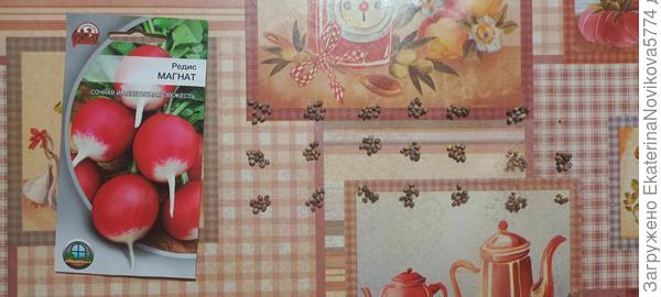 редис Магнат