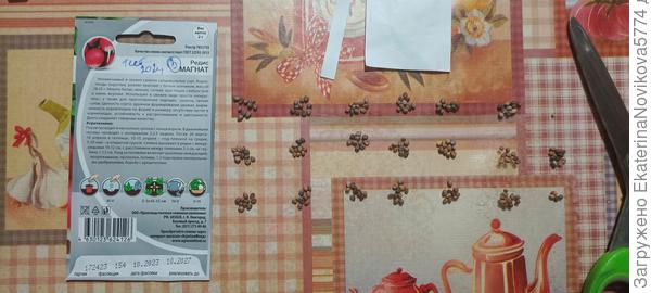 редис Магнат