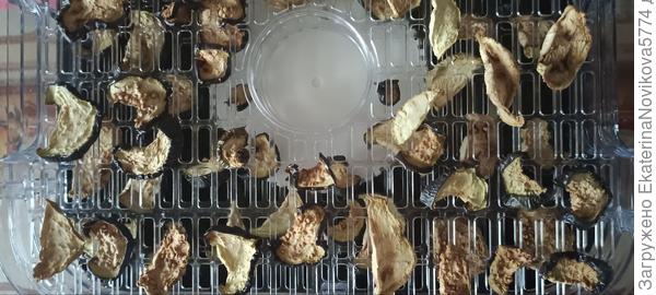 баклажан в дегидраторе