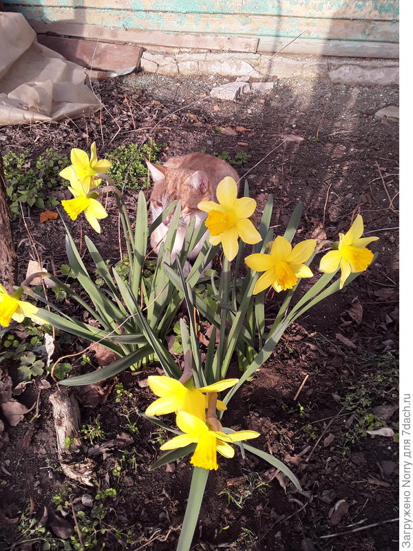 Солнечный перекус