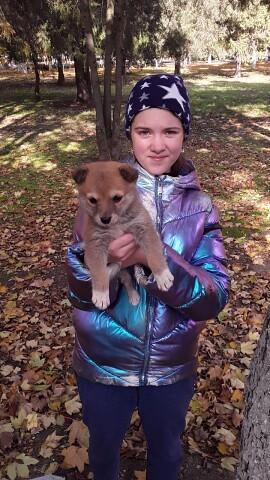 Домой