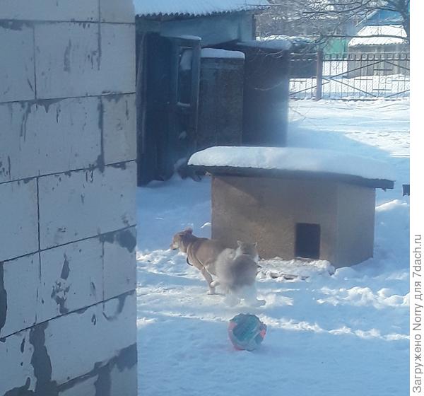 Играем