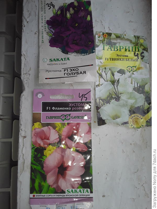 Мои семена эустом