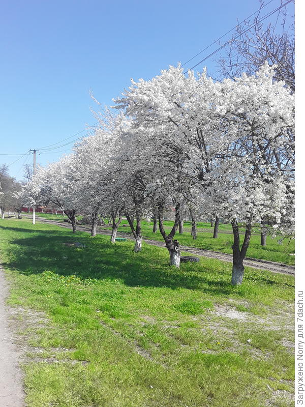 Красота рядом