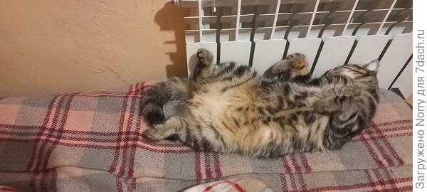 Батарея аккупирована Люсей