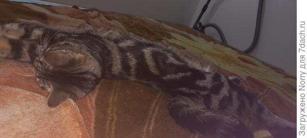 Сердечко, такое же и на другом боку