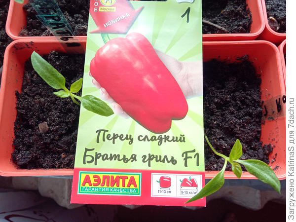 Братья Гриль 27 марта