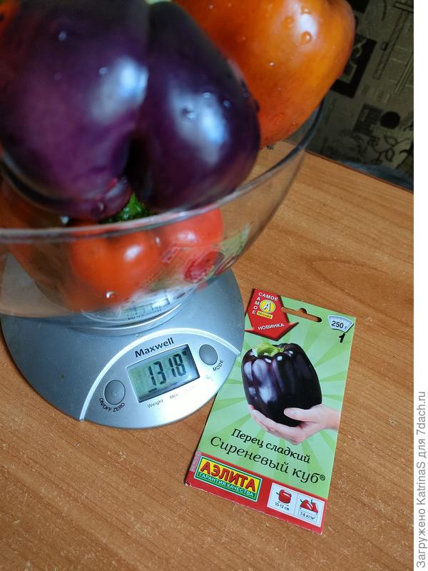 Последний сбор урожая