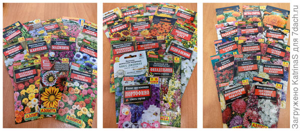 однолетние