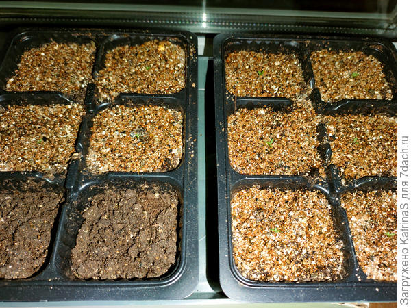 очень надо потрудится, чтоб разглядеть мои малявочки