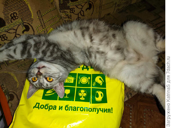 Пожелание от Сёмы всем)))