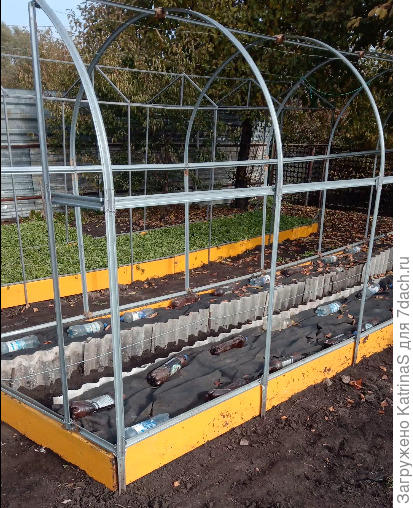 На заднем плане, как раз самодельная сестричка