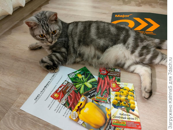 Эх... опять не рыбку растить будет....