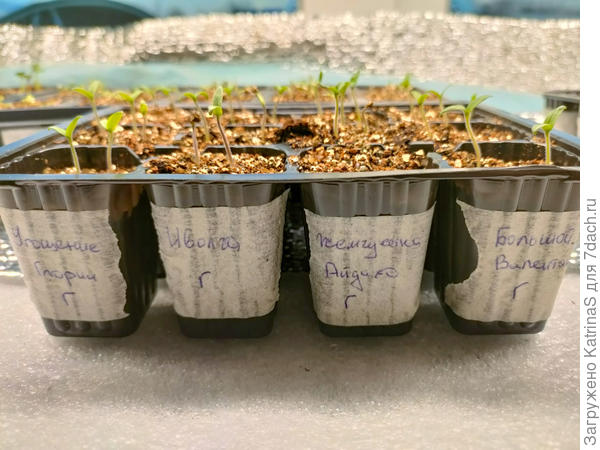 вечер 14-го остальные догоняют