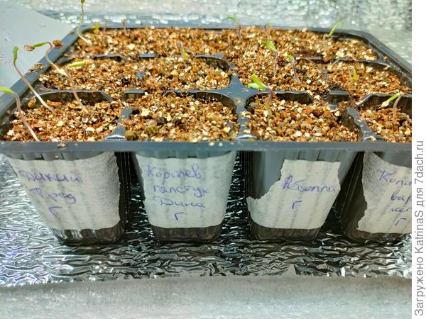 утро 13-го это самые оперативные)))