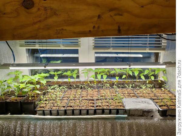 это в открытом виде