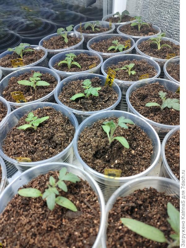 вот теперь все довольны