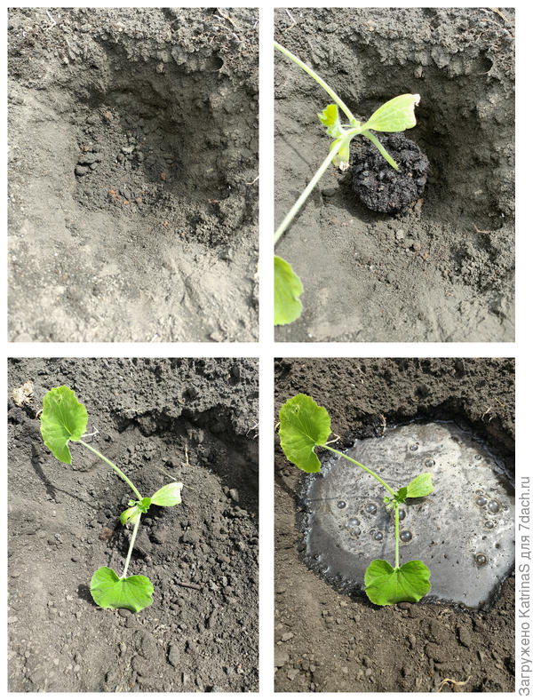 Процесс высадки