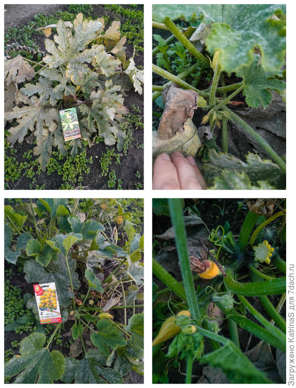 последний день