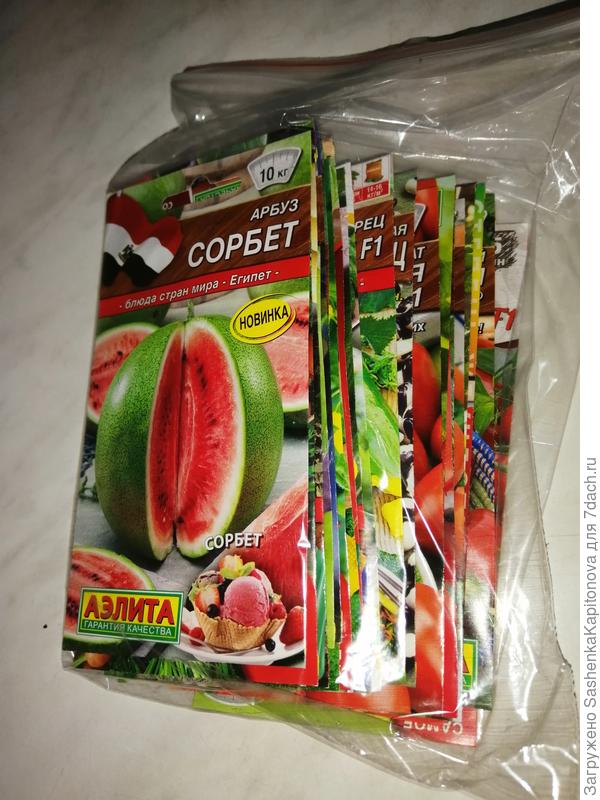 Пошла счупать